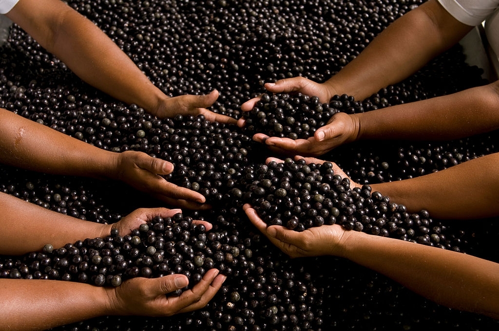 Açaí