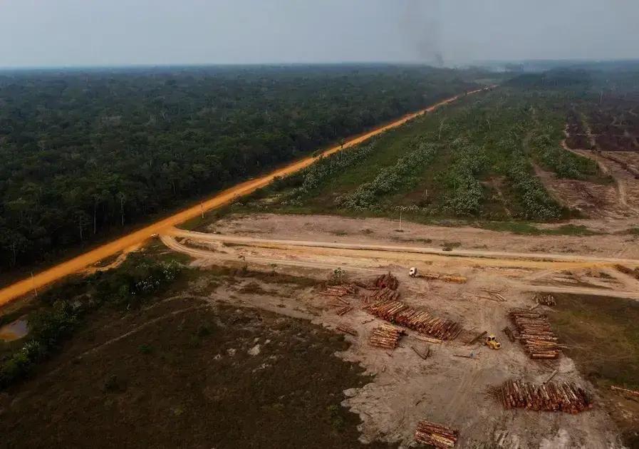 La deforestación en Brasil cae un 30%: esperanza para el futuro