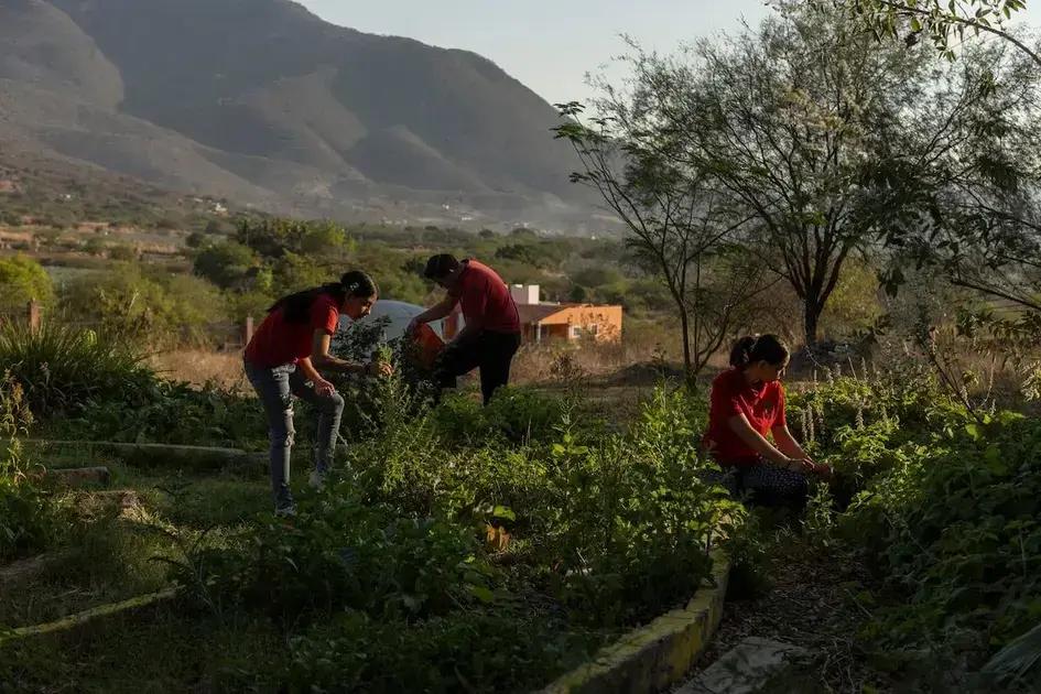 La revolución de los huertos escolares en El Limón, Jalisco