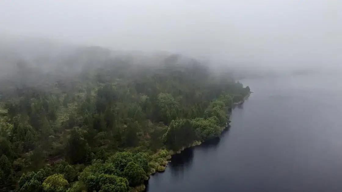 Reflexiones sobre la gestión ambiental en Colombia: Un modelo integrador