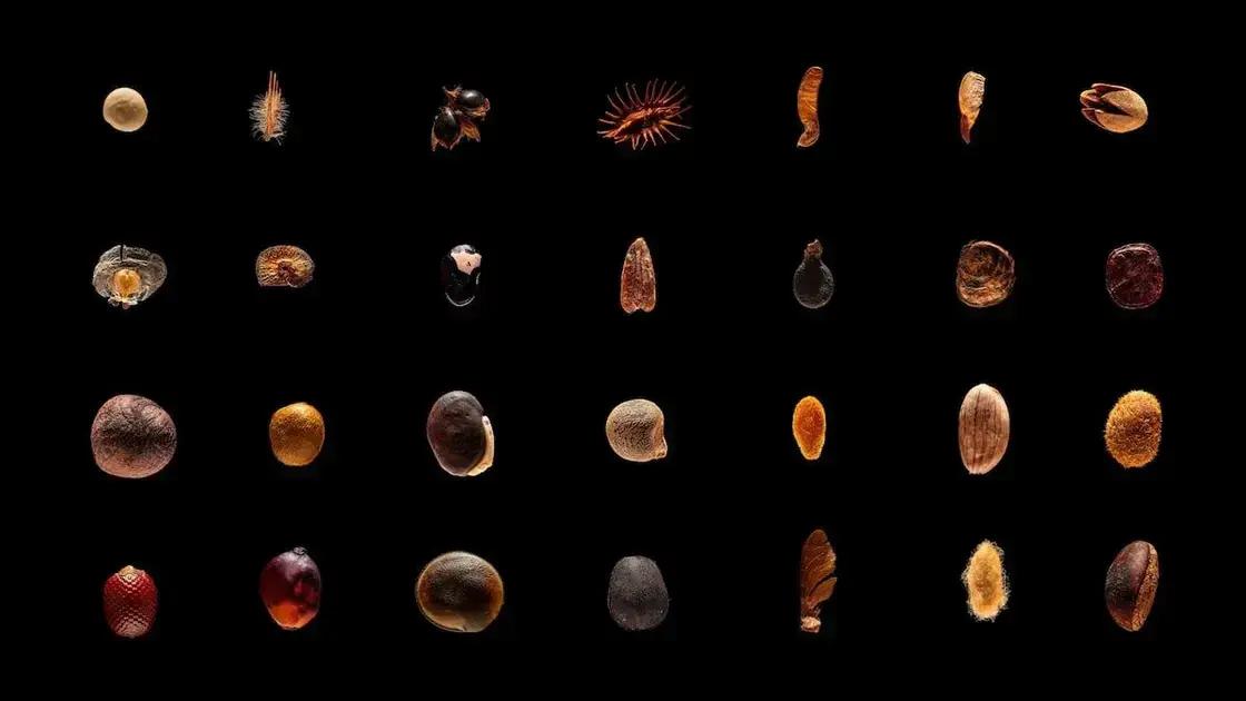 Un proyecto que rescata semillas y cuenta sus historias