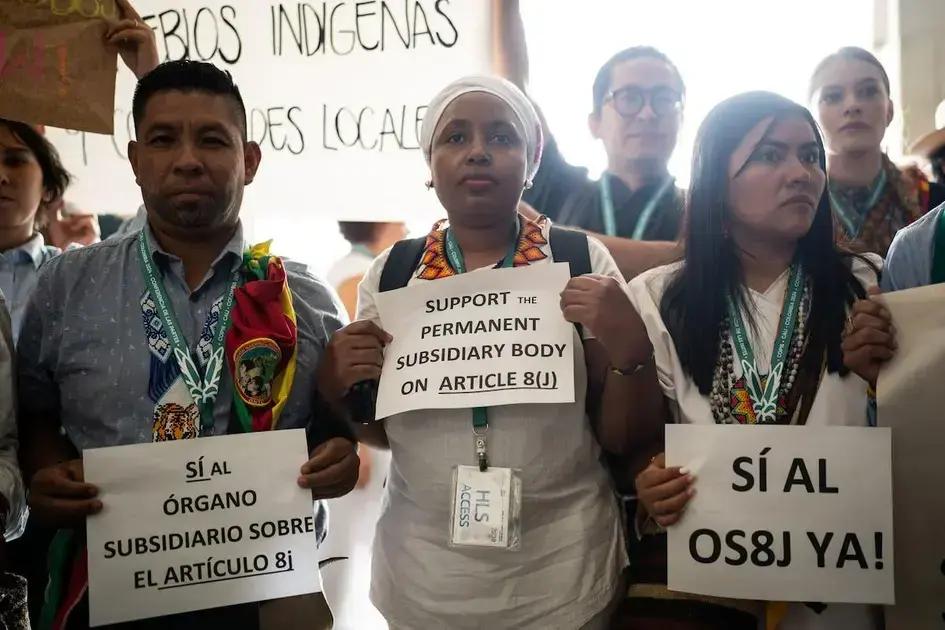 Demandas de la sociedad civil latinoamericana para la COP 30