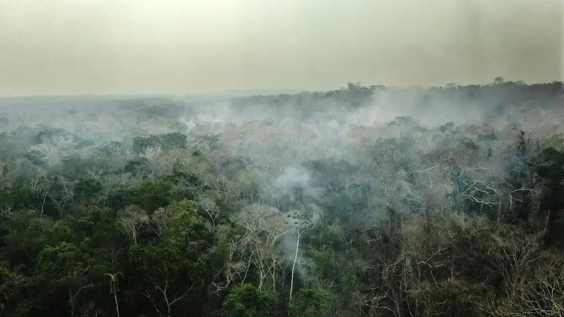 Indígenas bolivianos enfrentam desafios após incêndios devastadores