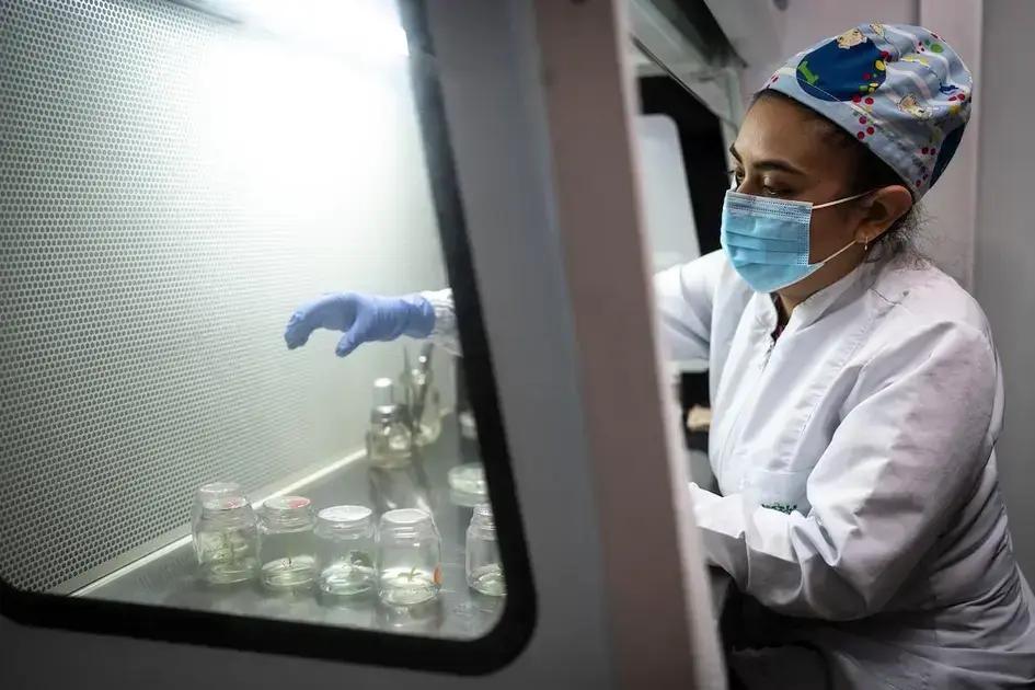 La revolución tecnológica en América Latina: un reto de biodiversidad