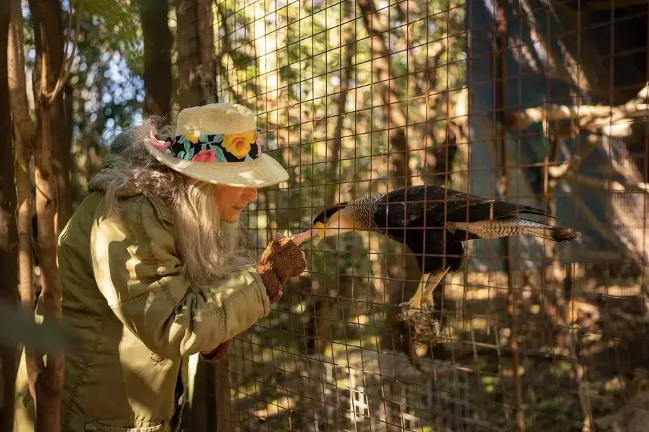 Beba Linaro: La mujer que transformó el rescate animal en Rosario