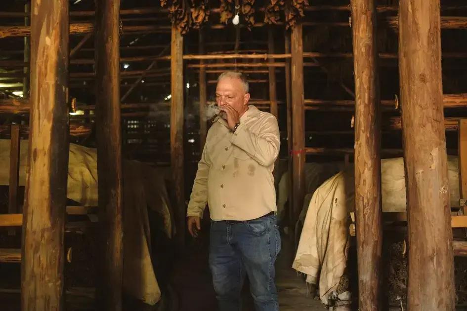 Cuba se prepara para huracanes y protege su cosecha de tabaco