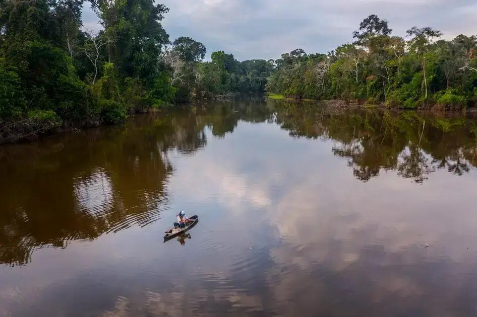 Los efectos del mercurio en la pesca de la Amazonia colombiana
