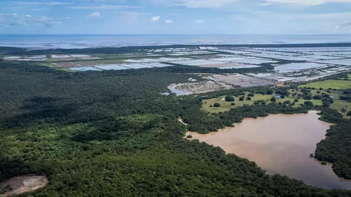 Bahía de Parita: Un modelo de gobernanza ecológica y comunitaria en Panamá
