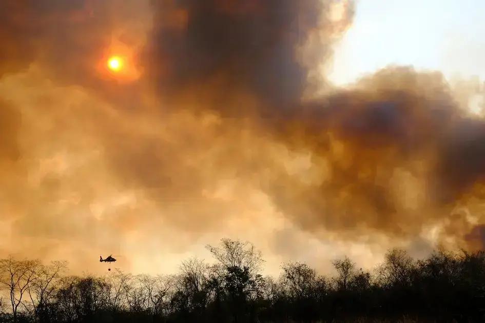 Políticas ambientales en América Latina: un cambio preocupante